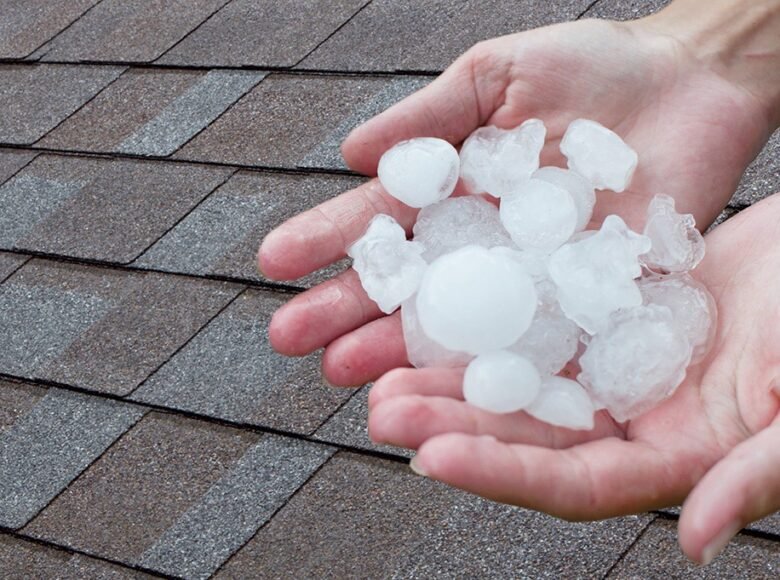 WhatsApp Image 2025-02-21 at 5.51.01 PM (2)